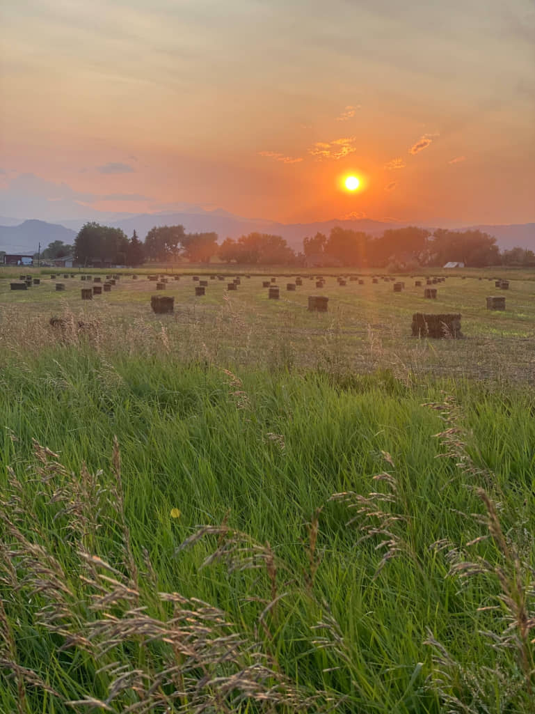 Guests enjoying the ranch and scenic views